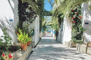 Galeana Beach Hotel_best deals_Hotel_Crete_Rethymnon_Adelianos Kampos