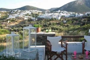 Apollon-Artemis Apartments_holidays_in_Apartment_Cyclades Islands_Sifnos_Apollonia