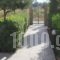 Paul'S Garden Studios_best prices_in_Hotel_Dodekanessos Islands_Rhodes_Rhodes Areas