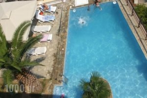 Denise Hotel_best prices_in_Hotel_Sporades Islands_Skopelos_Skopelos Chora