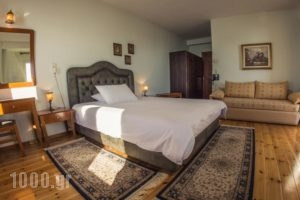 Horizon Hotel_travel_packages_in_Epirus_Ioannina_Ioannina City