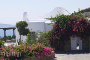 Mykonos Senses_best prices_in_Hotel_Cyclades Islands_Mykonos_Mykonos Chora