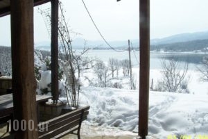 Guesthouse Drimos_holidays_in_Hotel_Thessaly_Karditsa_Oxia