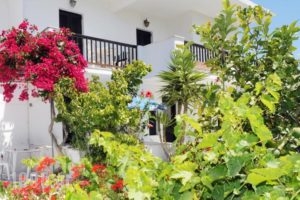Alex_accommodation_in_Hotel_Cyclades Islands_Tinos_Tinosora