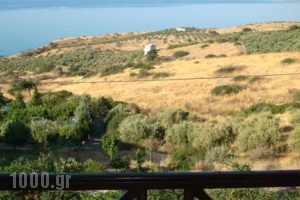 Kapsali Private Houses I & II_lowest prices_in_Hotel_Crete_Heraklion_Viannos