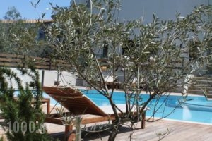Alkistis Hotel_best deals_Hotel_Peloponesse_Achaia_Diakopto