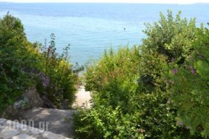 Glyfa Corfu Apartments_best deals_Apartment_Ionian Islands_Corfu_Corfu Rest Areas