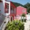 Skevoulis Studios_accommodation_in_Hotel_Ionian Islands_Corfu_Benitses
