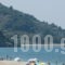 Hermes Hotel_best deals_Hotel_Thessaly_Magnesia_Zagora