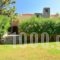 Villa Stella_travel_packages_in_Crete_Chania_Tavronitis