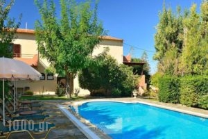 Villa Stella_accommodation_in_Villa_Crete_Chania_Tavronitis