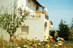 Casa Evriali Apartments_travel_packages_in_Crete_Heraklion_Heraklion City
