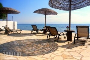Galini Beach Studios and Penthouse_accommodation_in_Hotel_Ionian Islands_Corfu_Corfu Rest Areas