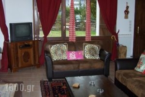 Arachova Houses_lowest prices_in_Hotel_Central Greece_Fokida_Delfi