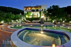 Villa Paradise_accommodation_in_Villa_Central Greece_Evia_Artemisio