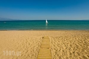 Buca Beach Resort_travel_packages_in_Thessaly_Magnesia_Pilio Area