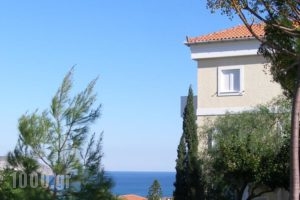 Treehouse Holiday Homes_travel_packages_in_Piraeus Islands - Trizonia_Spetses_Spetses Chora