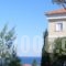 Treehouse Holiday Homes_travel_packages_in_Piraeus Islands - Trizonia_Spetses_Spetses Chora