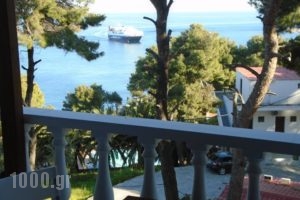 Machi Rooms_holidays_in_Room_Sporades Islands_Alonnisos_Patitiri