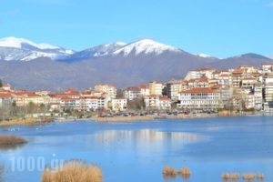 Paralimnio Suites_best prices_in_Hotel_Macedonia_kastoria_Aposkepos