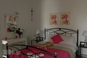 Halases Apartments_holidays_in_Apartment_Crete_Chania_Sfakia