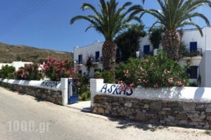 Pension Askas_accommodation_in_Hotel_Cyclades Islands_Amorgos_Amorgos Chora
