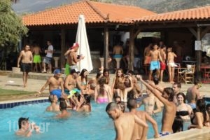 Ibiscus Hotel Malia_best deals_Hotel_Crete_Heraklion_Malia