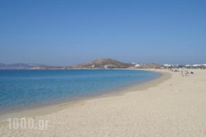 Naxos Island  Hotel_best prices_in_Hotel_Cyclades Islands_Paros_Paros Chora