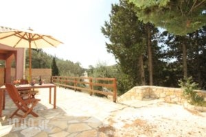 Studios Kirki_holidays_in_Hotel_Ionian Islands_Corfu_Corfu Rest Areas