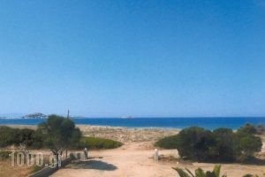 Gold Sand_holidays_in_Hotel_Cyclades Islands_Naxos_Naxos Chora