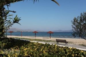 Ballos Apartments_best deals_Apartment_Piraeus Islands - Trizonia_Aigina_Marathonas