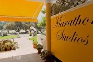 Marathon Studios & Apartments_holidays_in_Apartment_Ionian Islands_Zakinthos_Laganas