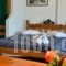 Agnadi Studios_best prices_in_Hotel_Dodekanessos Islands_Astipalea_Analipsi