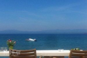 Mantinia Bay Hotel_travel_packages_in_Thessaly_Magnesia_Pilio Area