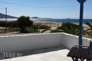 Gold Sand_best deals_Hotel_Cyclades Islands_Naxos_Naxos Chora