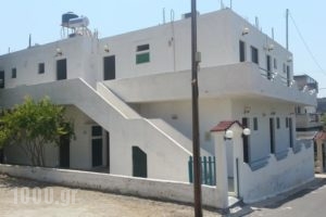 Golden Star_best prices_in_Hotel_Piraeus islands - Trizonia_Aigina_Agia Marina