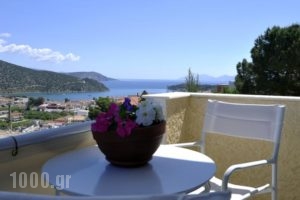 Treehouse Holiday Homes_lowest prices_in_Hotel_Piraeus Islands - Trizonia_Spetses_Spetses Chora