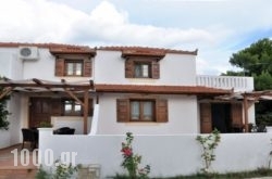 Kamelia Villas in Panormos, Skopelos, Sporades Islands
