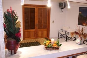 Maria Apartments Studios Epidavros_best prices_in_Apartment_Peloponesse_Argolida_Archea (Palea) Epidavros