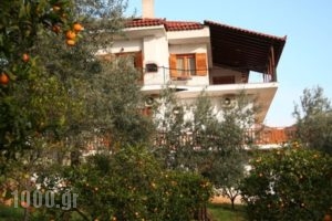 Maria Apartments Studios Epidavros_travel_packages_in_Peloponesse_Argolida_Archea (Palea) Epidavros