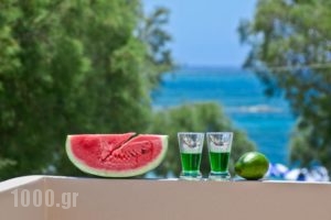 Kavourakia_accommodation_in_Hotel_Cyclades Islands_Naxos_Naxos Chora