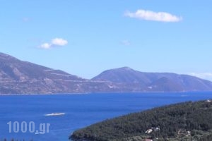 Agnantia Hotel Apartments_lowest prices_in_Apartment_Ionian Islands_Kefalonia_Kefalonia'st Areas