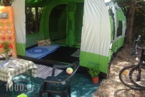 Camping Argostoli_lowest prices_in_Hotel_Ionian Islands_Kefalonia_Kefalonia'st Areas