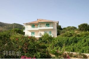 Maistrali Apartments_accommodation_in_Apartment_Ionian Islands_Zakinthos_Zakinthos Rest Areas