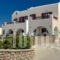 William'S Houses_holidays_in_Hotel_Cyclades Islands_Sandorini_Sandorini Chora