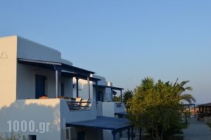 Aeraki Studios_travel_packages_in_Cyclades Islands_Naxos_Naxos Chora