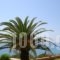 Pelagos Apartments_accommodation_in_Apartment_Ionian Islands_Corfu_Corfu Rest Areas