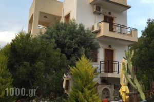 Vrisi Apartments & Villa_holidays_in_Villa_Crete_Heraklion_Tymbaki