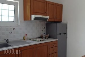 Johannes Apartments_best prices_in_Apartment_Dodekanessos Islands_Rhodes_Lindos