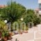 Villa Nufaro_lowest prices_in_Villa_Aegean Islands_Lesvos_Plomari